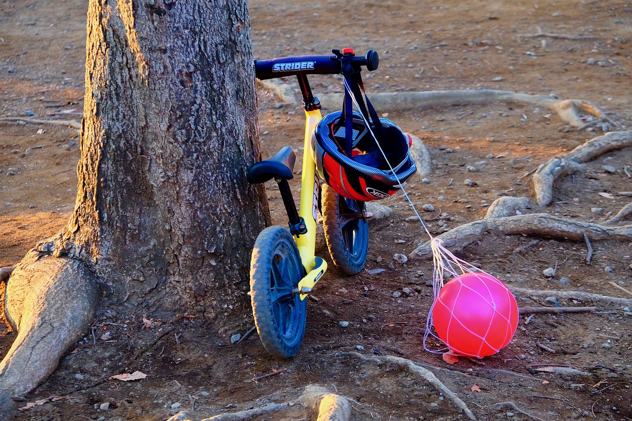 收養(yǎng)法修改最新動態(tài)，重塑收養(yǎng)制度，保障兒童權(quán)益