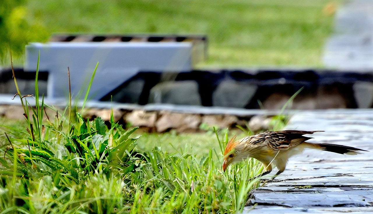 蚌埠匯金廣場最新動態(tài)更新，最新消息一覽