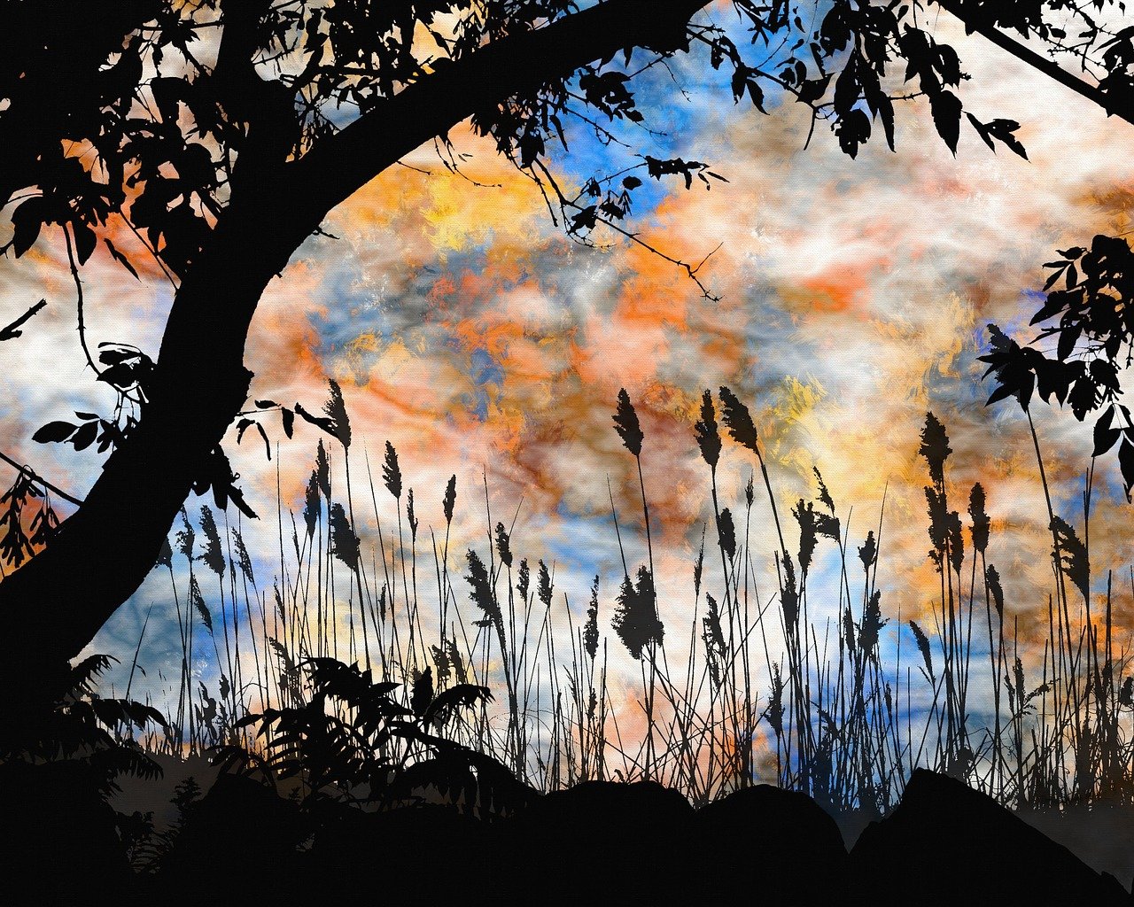 探尋靈魂的迷離之旅，魂不守舍沈秋最新章節(jié)