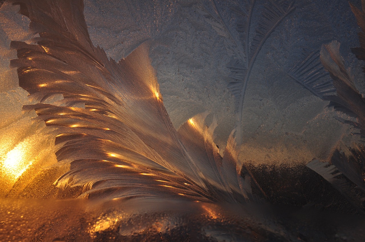 白夜寒與葉曉曉，命運(yùn)交織與情感升華的最新章節(jié)