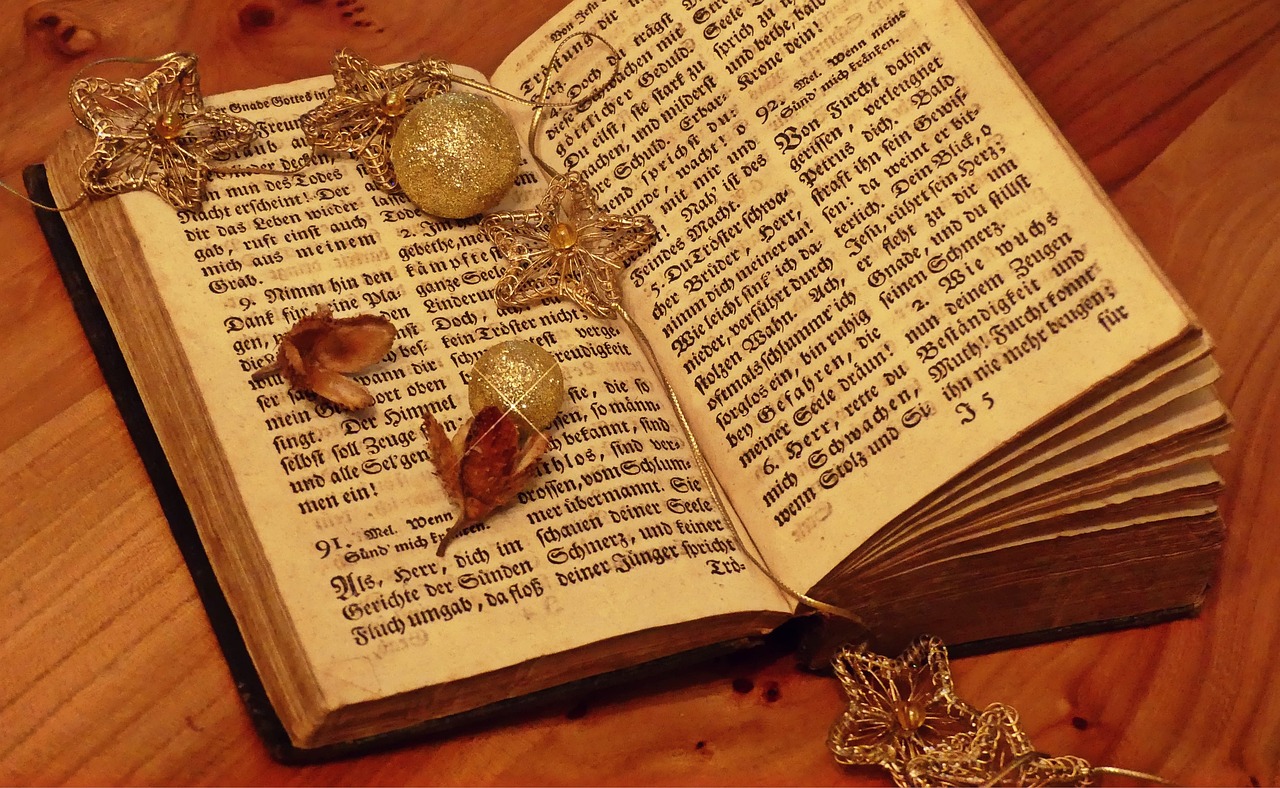 嫖文執(zhí)行者，探索與啟示的最新章節(jié)