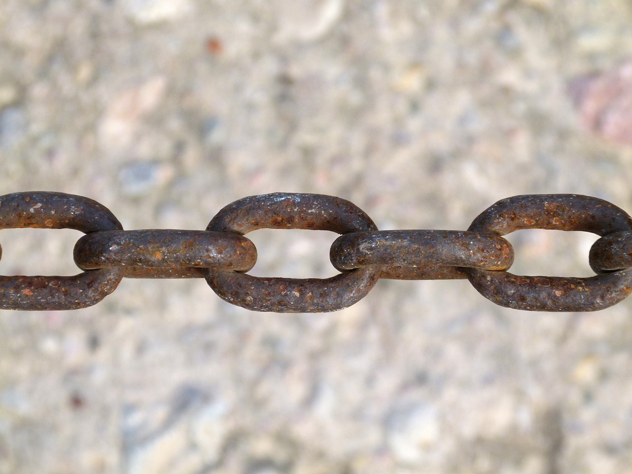 李仕軍在旺蒼的最新動(dòng)態(tài)，推動(dòng)地方發(fā)展，展現(xiàn)新面貌