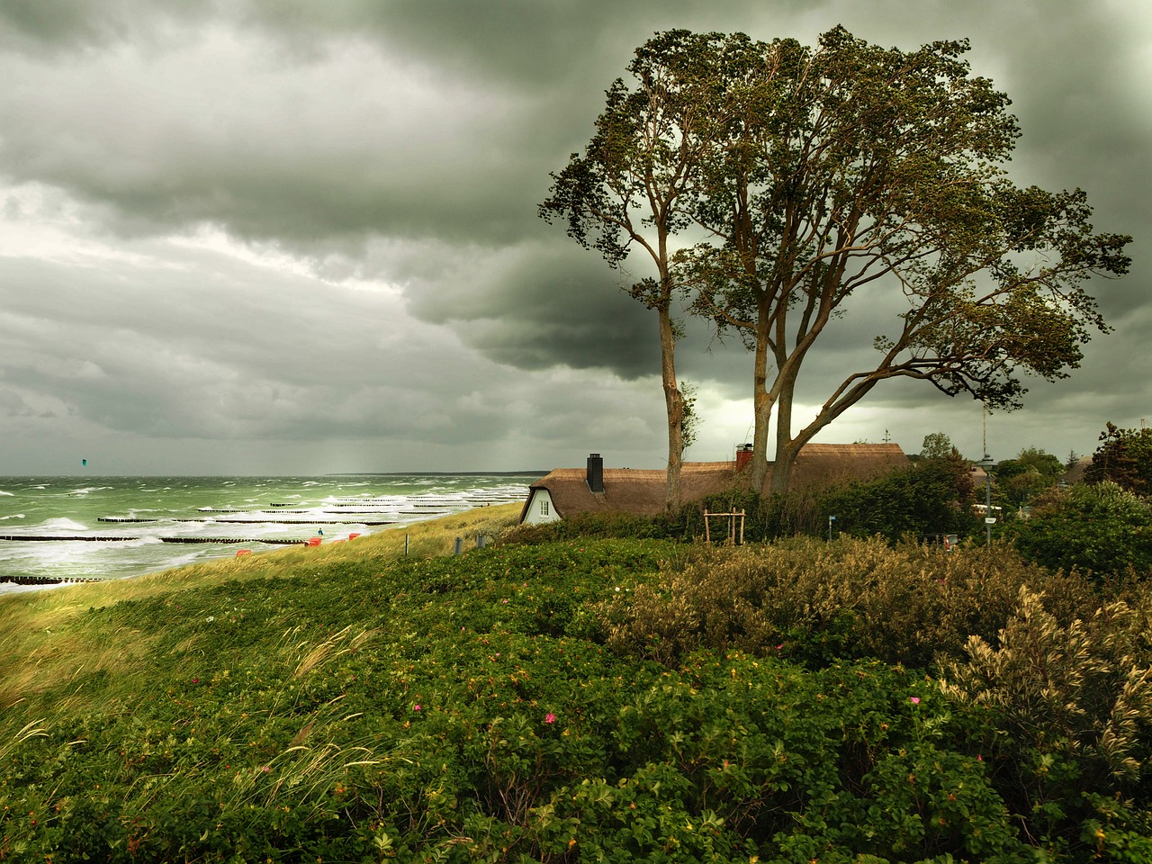 山東海洋天氣預報更新及分析，最新海洋氣象動態(tài)揭秘