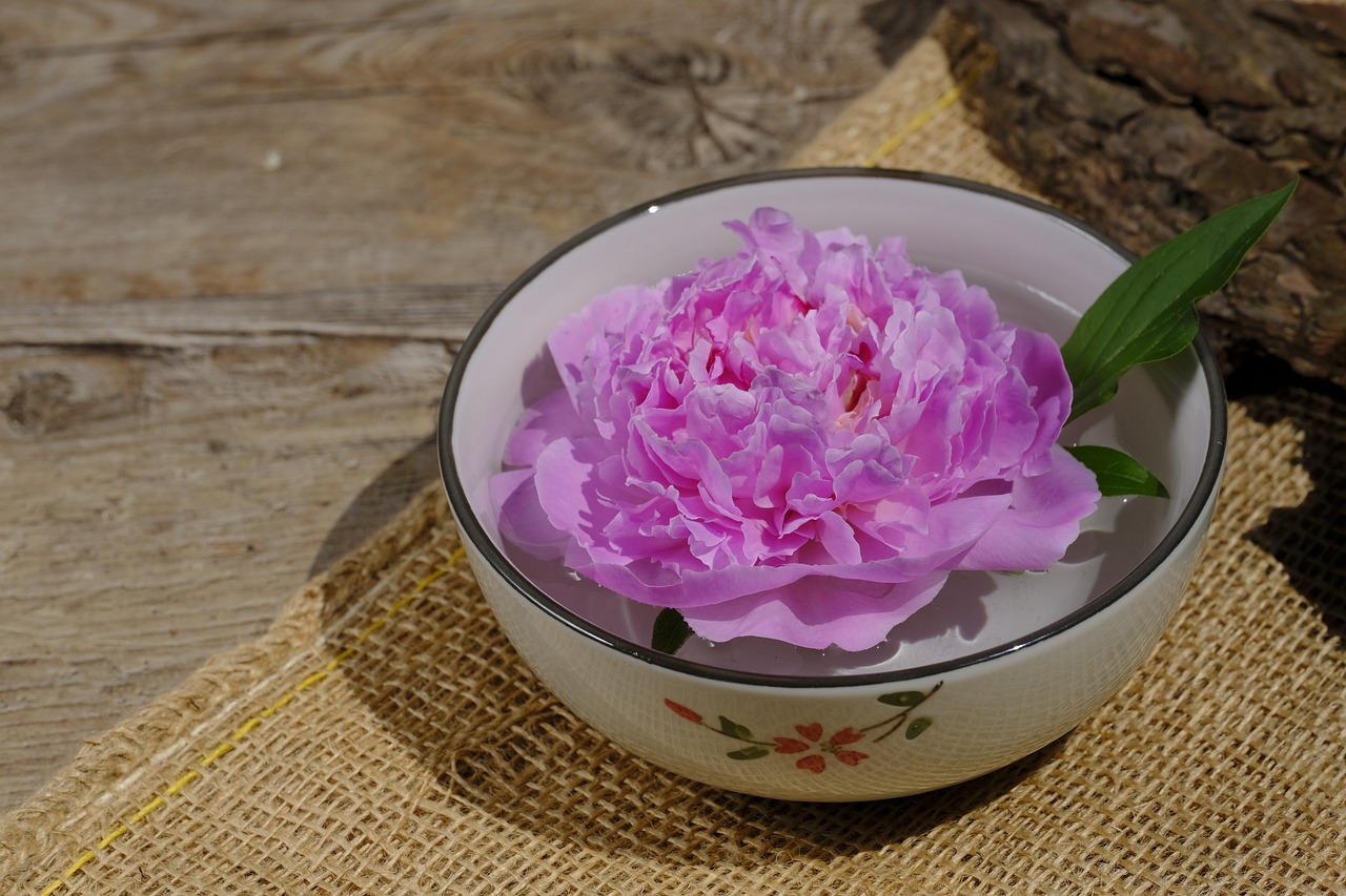 大康牧業(yè)利好消息深度解析，最新動(dòng)態(tài)帶來積極前景