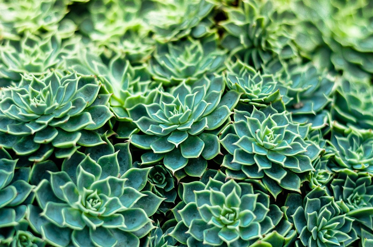 2024年12月 第48頁