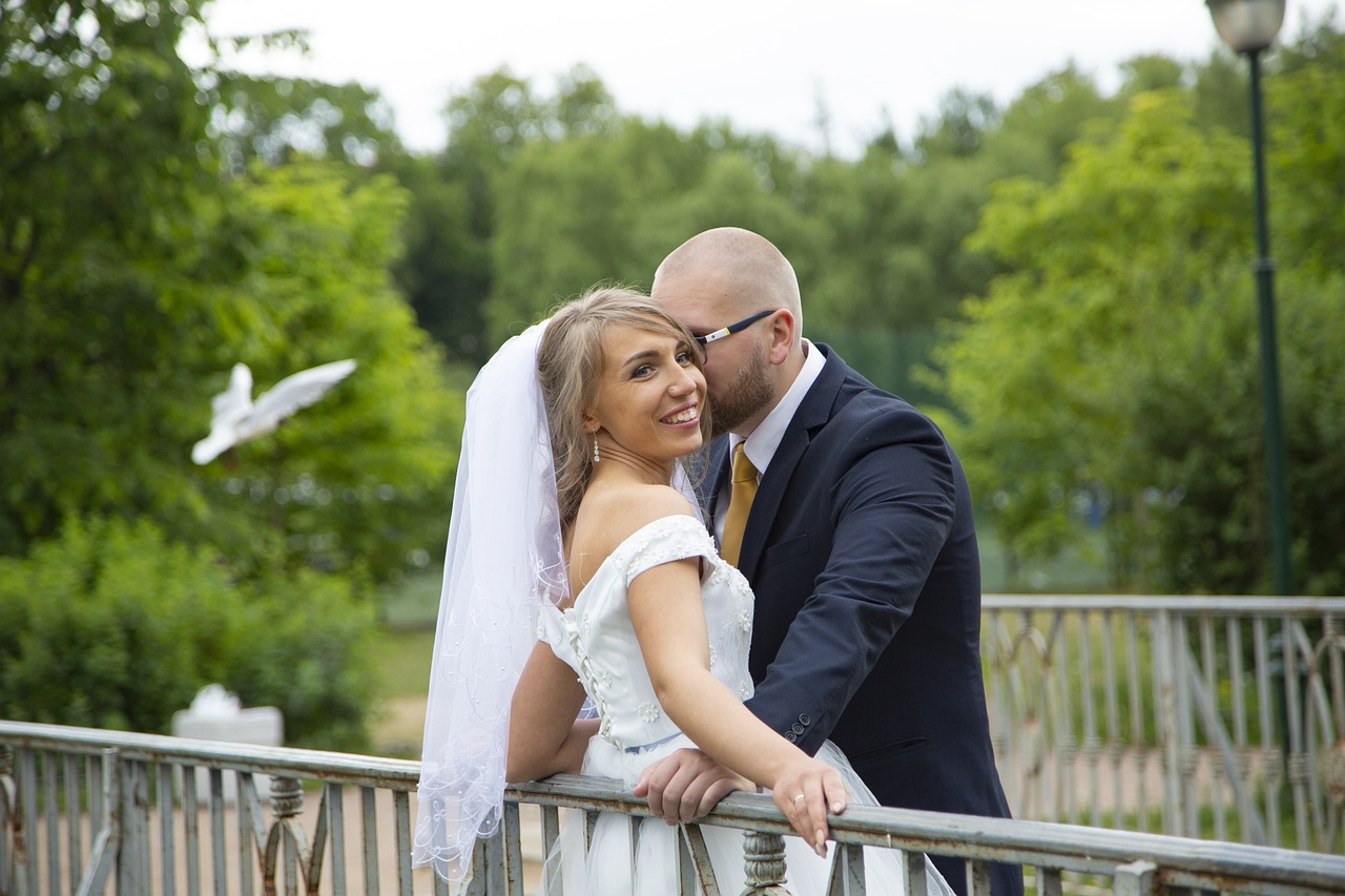 璀璨星光下的愛情故事，最新電視劇2016偶像劇獨(dú)家呈現(xiàn)