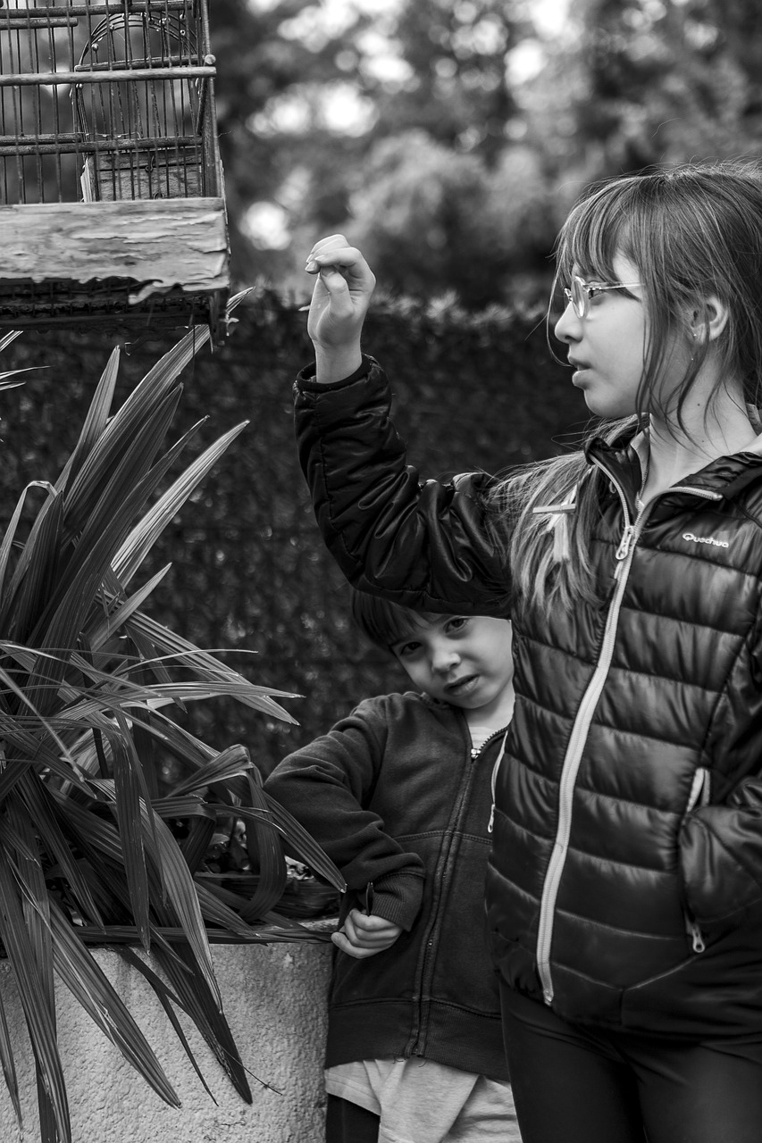 自然與科技融合的未來(lái)探索，自然界云棲最新動(dòng)態(tài)揭秘