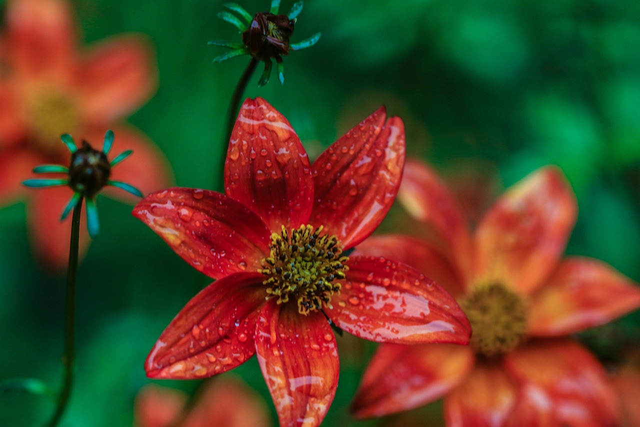 懷來萬悅廣場，城市新地標(biāo)，引領(lǐng)未來生活風(fēng)尚新動態(tài)