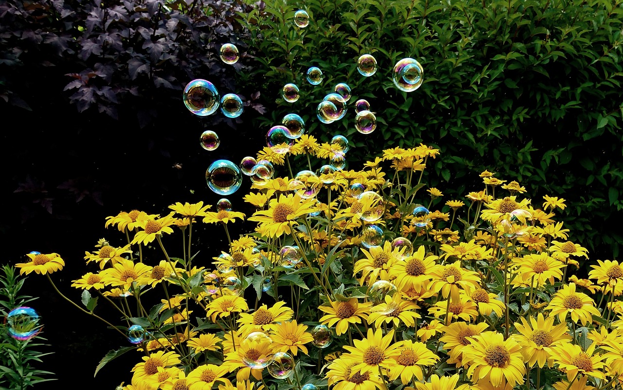 盱眙馬壩鐵路最新動態(tài)，深度解析最新消息