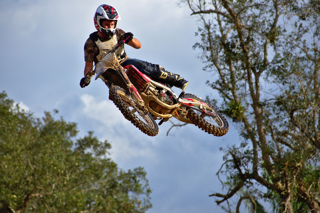 花開(kāi)無(wú)言 第18頁(yè)