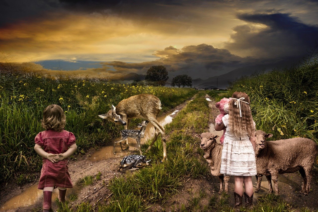 逍遙派最新章節(jié)，奇幻之旅探尋神秘世界