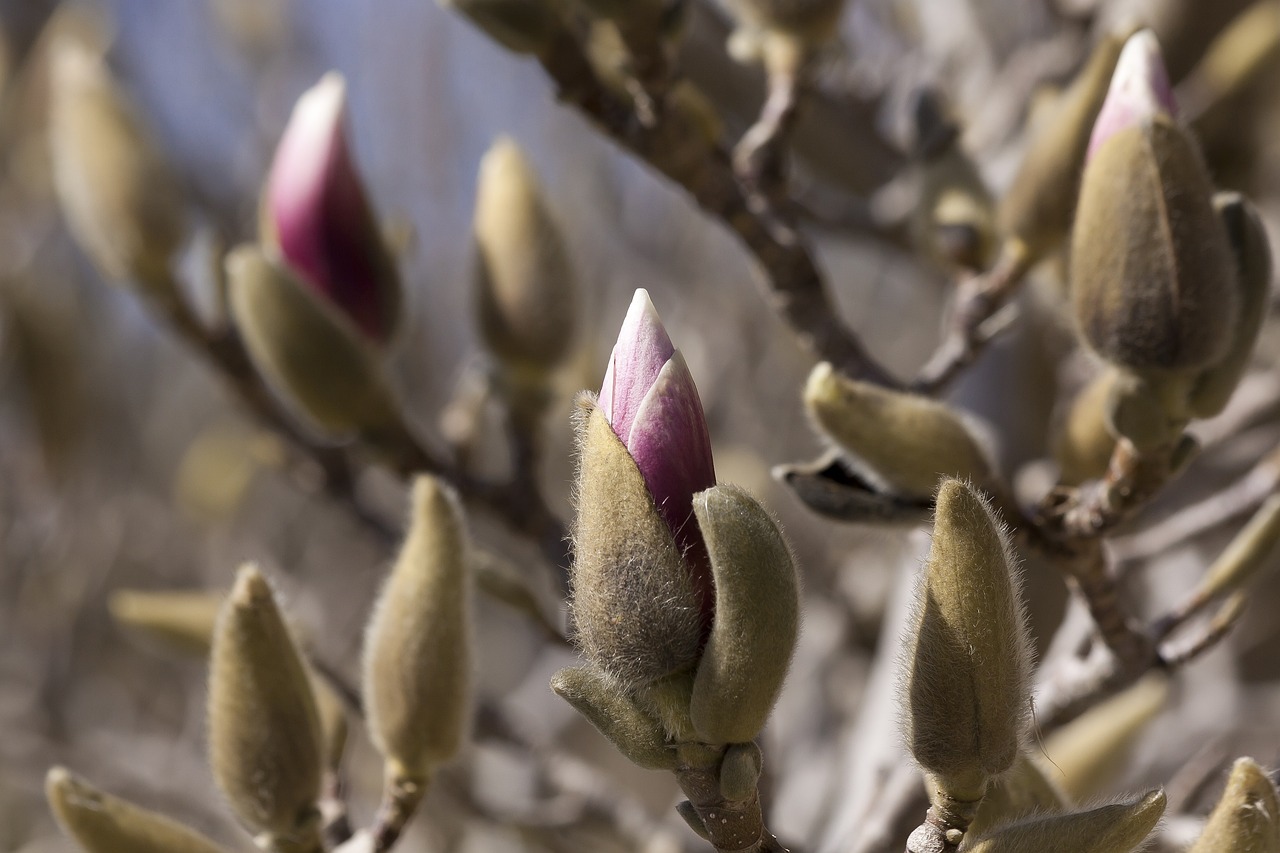 泗陽高鐵最新進展報告更新，最新動態(tài)揭秘！