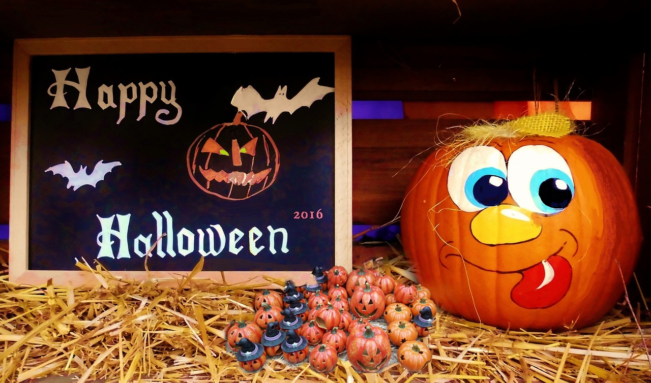 營山?？堊钚聞討B(tài)揭秘，探尋最新消息，揭開神秘面紗