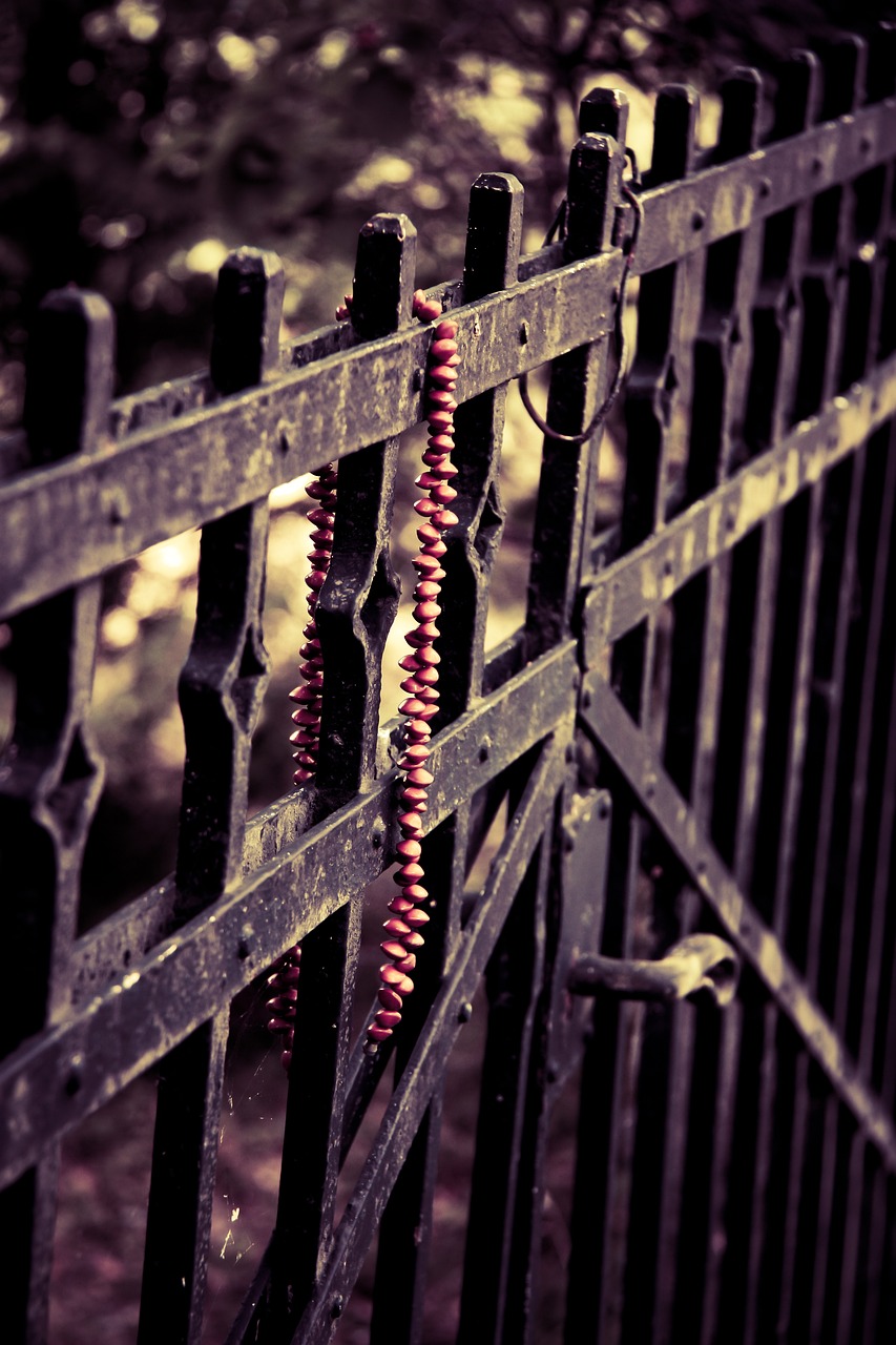 稀有金屬隕石最新探索，宇宙神秘禮物的最新消息