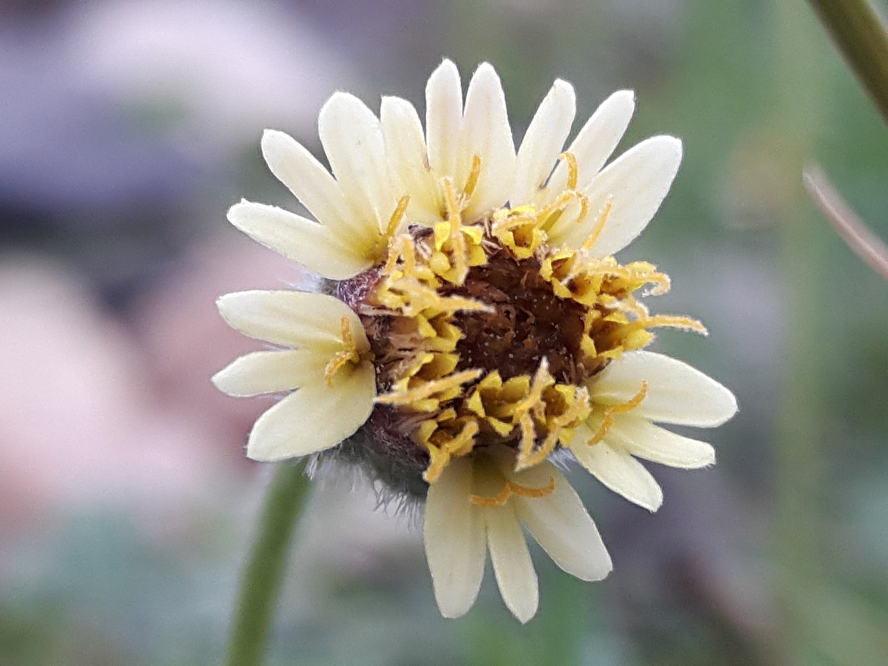 烏市地鐵招工最新動態(tài)，城市軌道交通建設中的機遇與挑戰(zhàn)并存