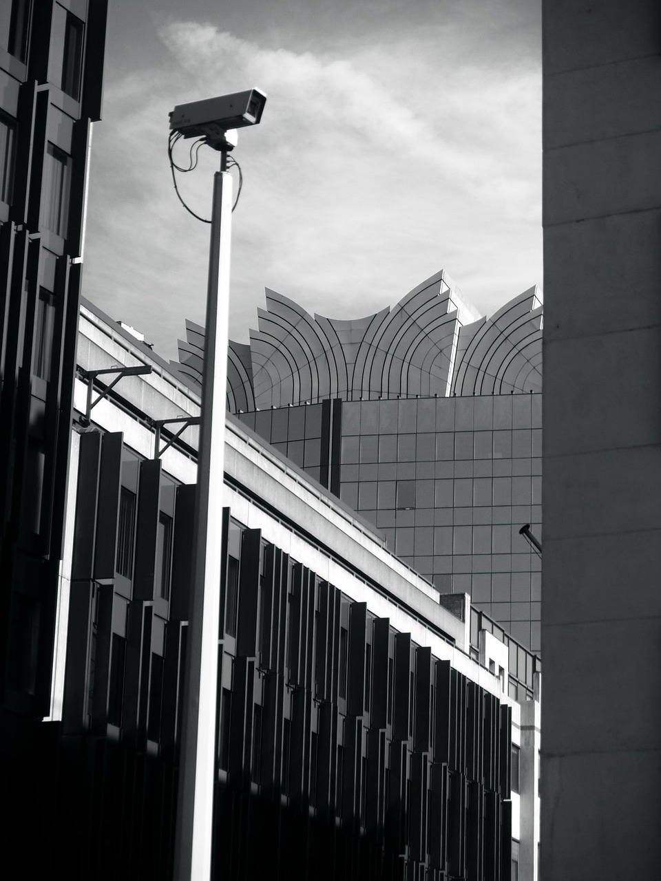 壽縣迎河鎮(zhèn)最新消息概覽，動(dòng)態(tài)更新與資訊一覽