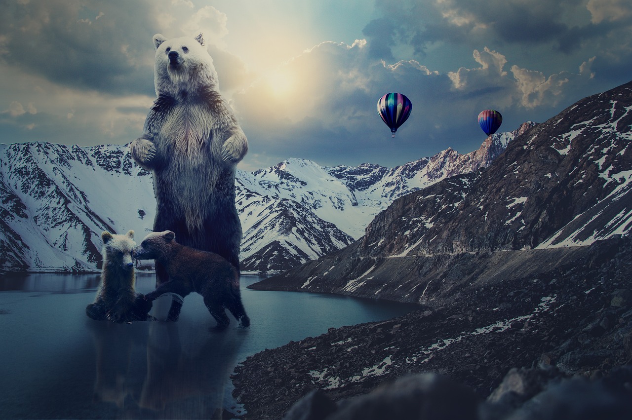 帝王雷最新版本下載，探索與體驗(yàn)之旅