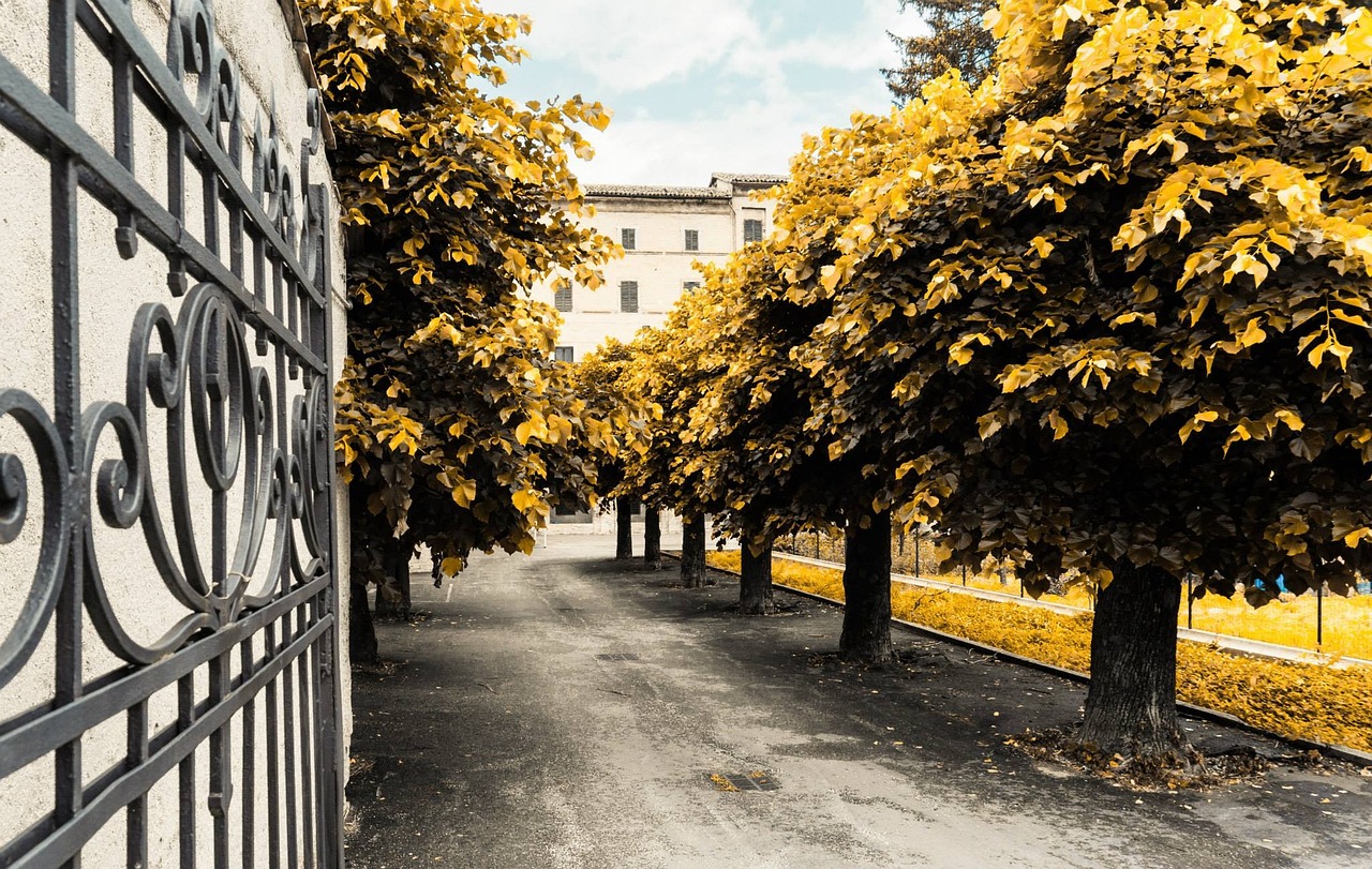 葉榭大型社區(qū)打造現(xiàn)代化新城，宜居宜業(yè)最新進展消息