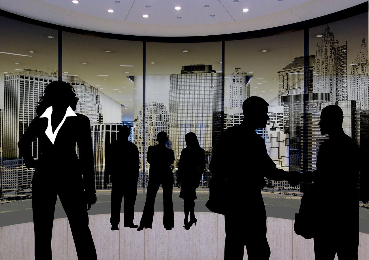 陸良最新人事任免動態(tài)及解析，2016年人事調(diào)整概覽