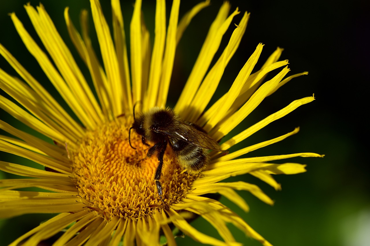 太原城市改造最新動態(tài)，煥新顏，發(fā)展提速