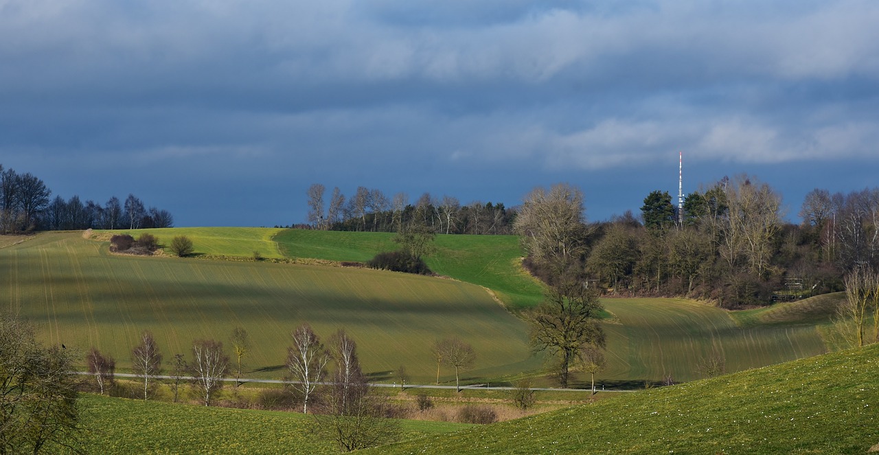 漳州陽(yáng)光美地最新動(dòng)態(tài)更新，最新消息匯總
