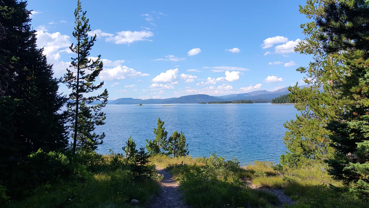 青娛樂最新地址探尋之旅，探索最新動(dòng)態(tài)與娛樂盛宴的門戶