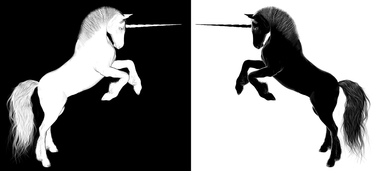 上海浦東合慶最新招聘動(dòng)態(tài)，影響與趨勢(shì)分析