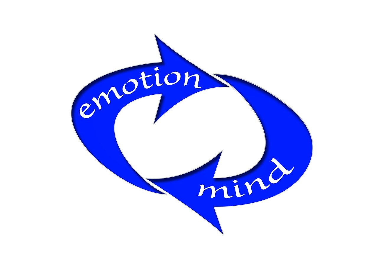 哈佛W01最新消息，引領(lǐng)教育創(chuàng)新與未來(lái)發(fā)展