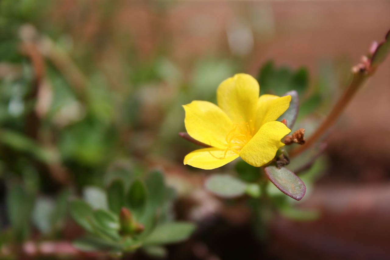 威海泊于水庫最新動(dòng)態(tài)，進(jìn)展、影響與展望