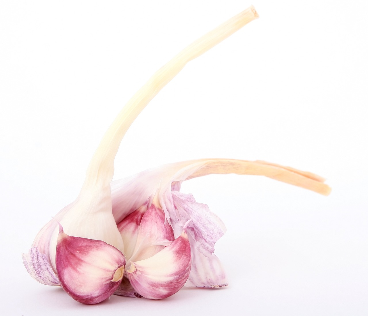 香兒最新廣場舞雙人舞，舞動生活的優(yōu)美旋律