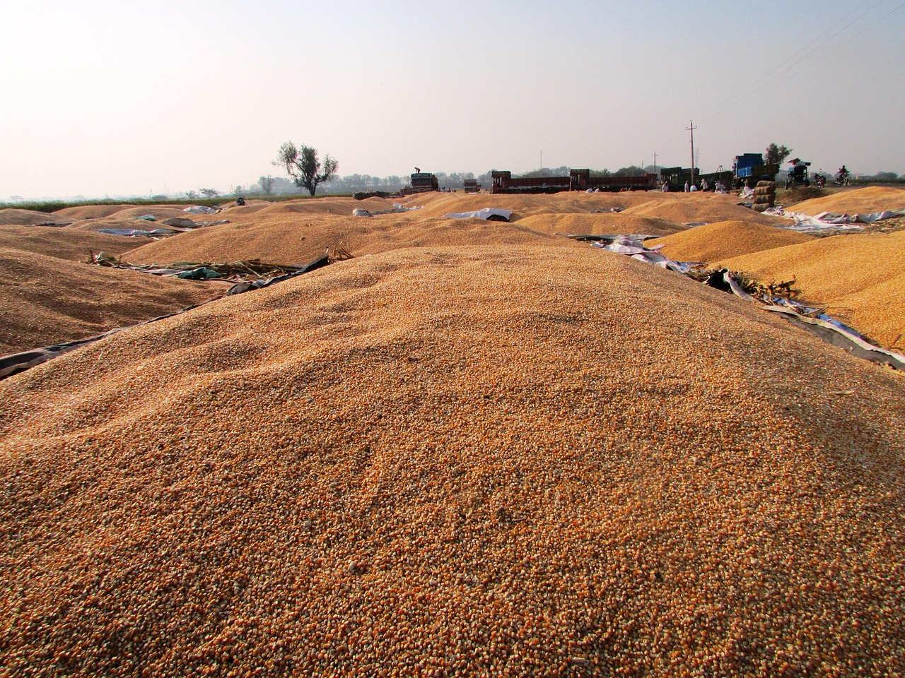 技術(shù)革新引領(lǐng)小型鋼廠行業(yè)新風(fēng)向，最新消息揭秘發(fā)展動(dòng)態(tài)