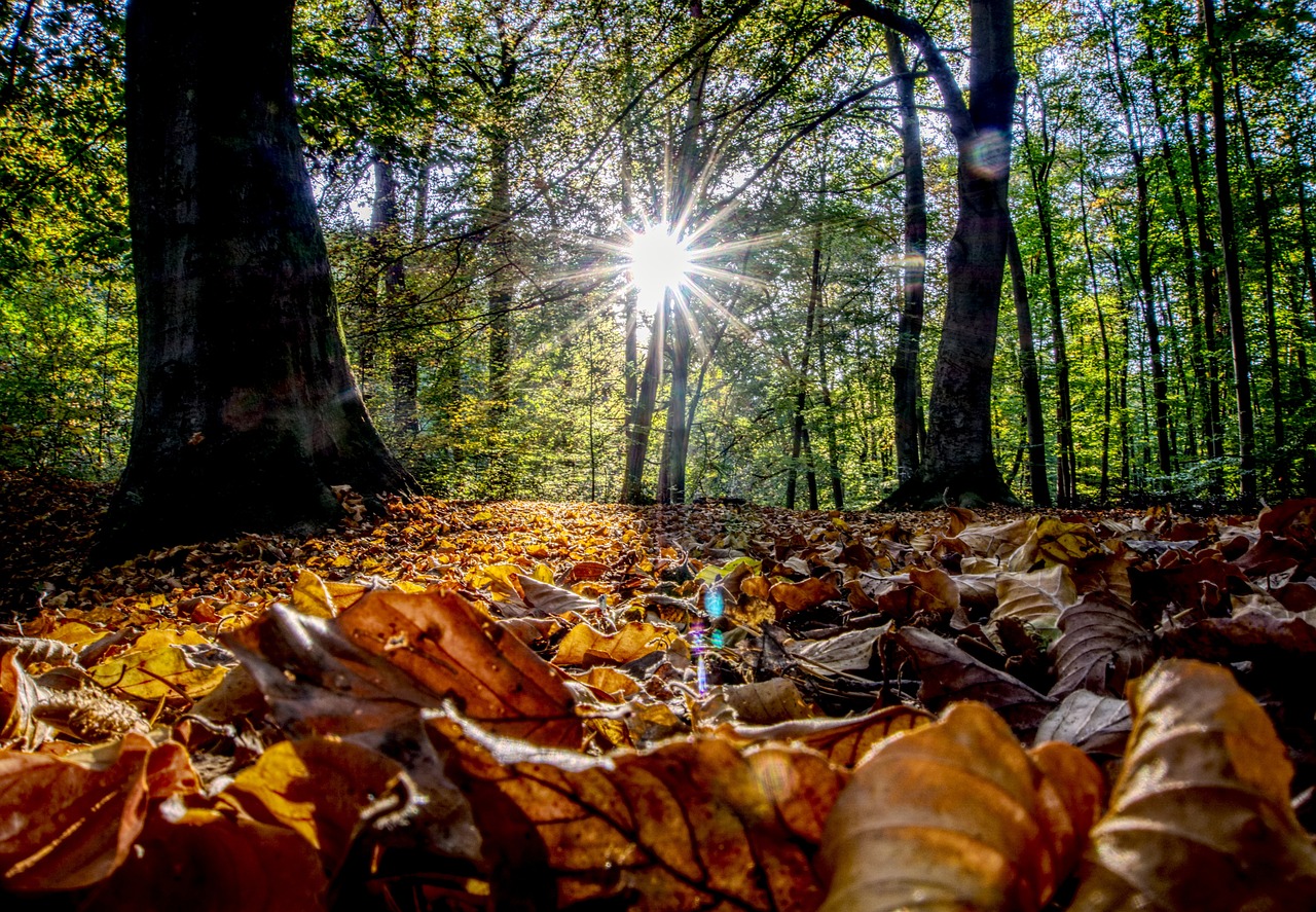 古劍奇譚三最新動(dòng)態(tài)揭秘，新內(nèi)容、玩法與體驗(yàn)全解析