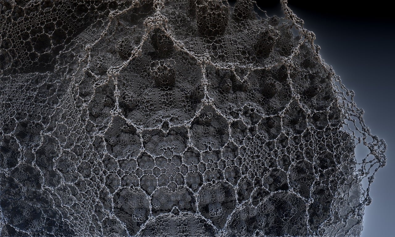 遼寧隋顯利最新動(dòng)態(tài)，傳奇人物的嶄新篇章