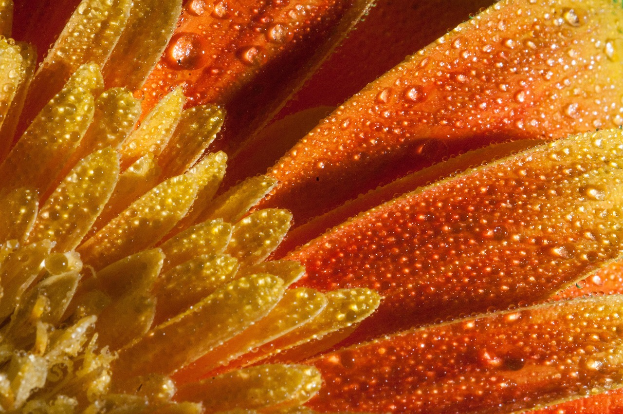 鄭州東岸尚景最新動態(tài)，城市新篇章的璀璨明珠