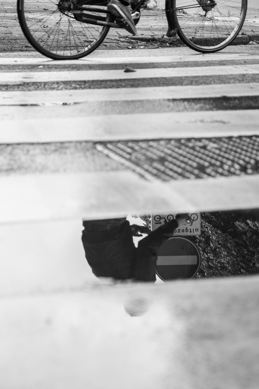 膠南陽光一號(hào)最新動(dòng)態(tài)，城市發(fā)展的璀璨明珠持續(xù)更新中