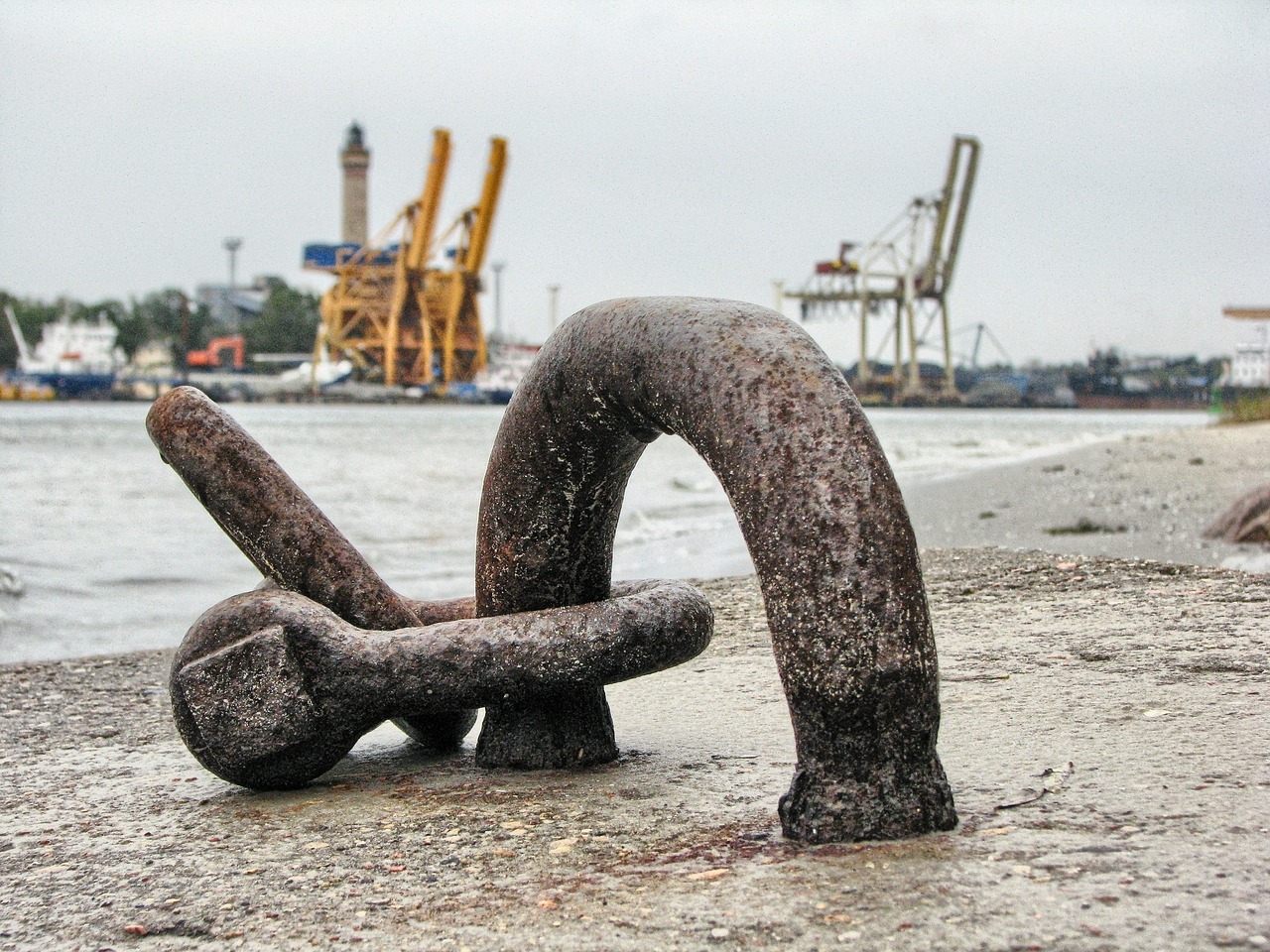 大連外經(jīng)貿(mào)最新消息概覽，最新動態(tài)與發(fā)展分析