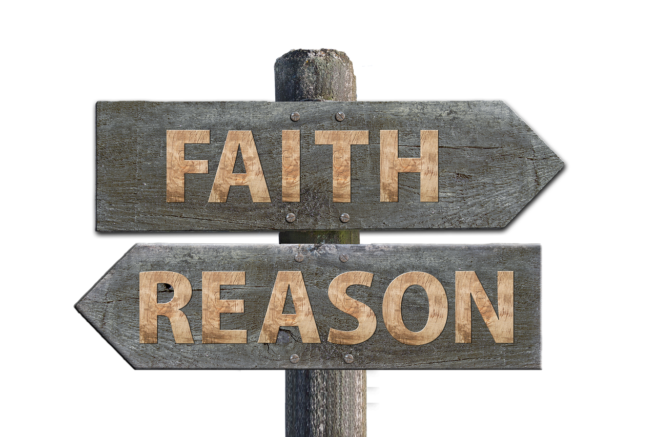 華圖教育股票最新動態(tài)，市場走勢、前景展望與最新消息