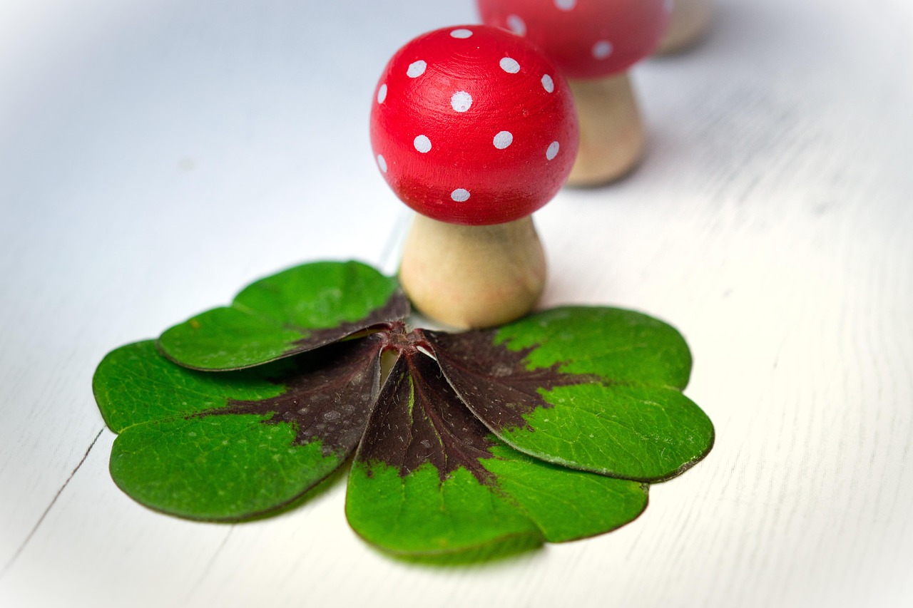 華清御園最新動態(tài)，展現(xiàn)獨特魅力與未來發(fā)展藍圖揭秘