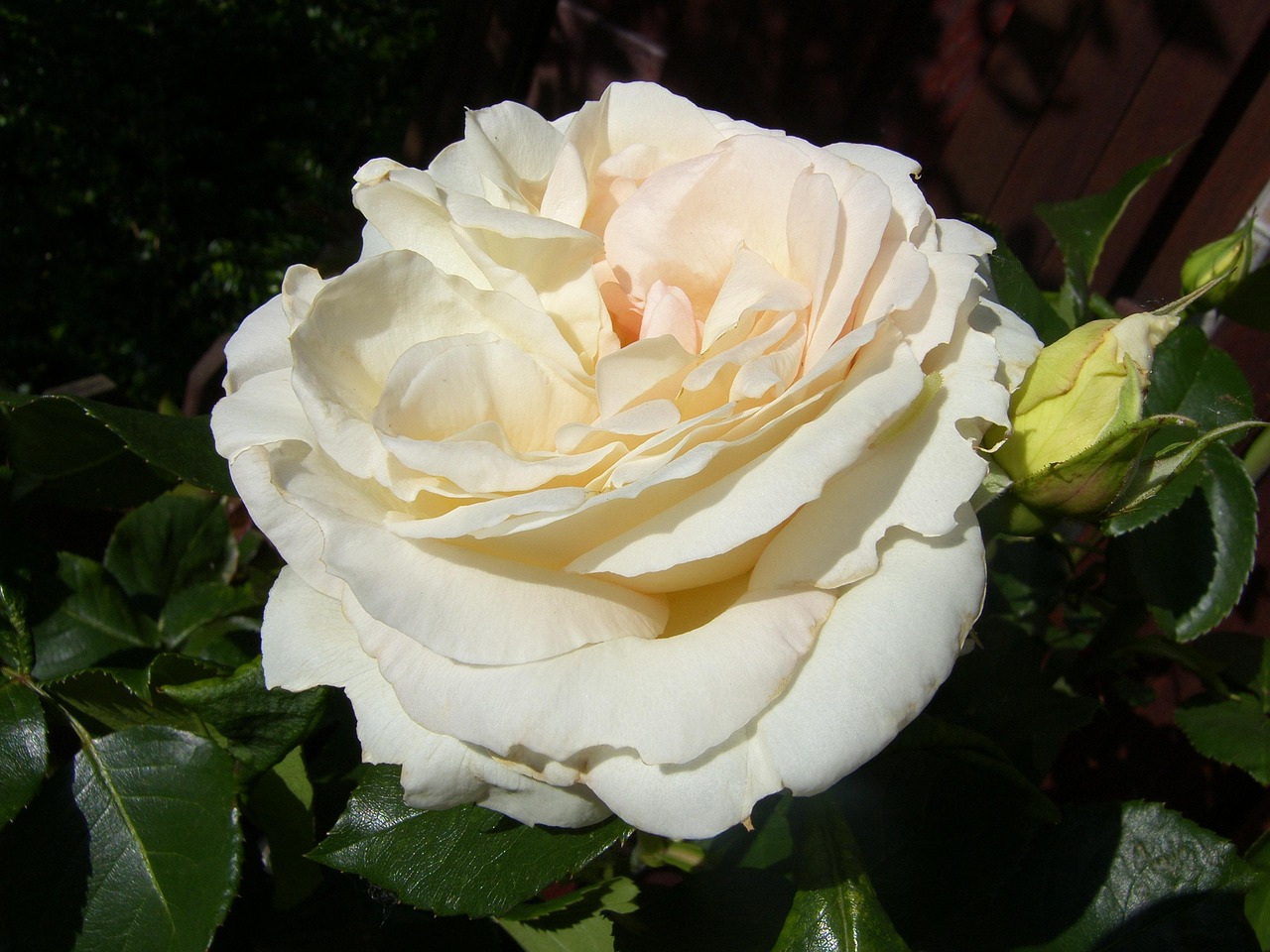 海口美麗華居最新動(dòng)態(tài)，繁華都市中的理想居所更新消息