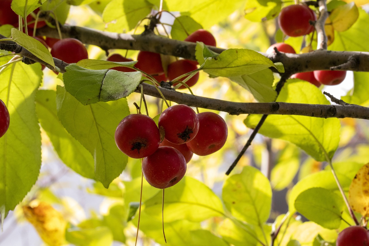 朱一龍最新消息新聞，影視巨星的新動(dòng)態(tài)揭秘