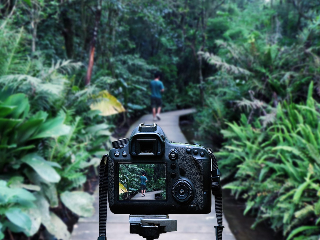 灌南高鐵站最新消息深度解析，最新動(dòng)態(tài)與進(jìn)展