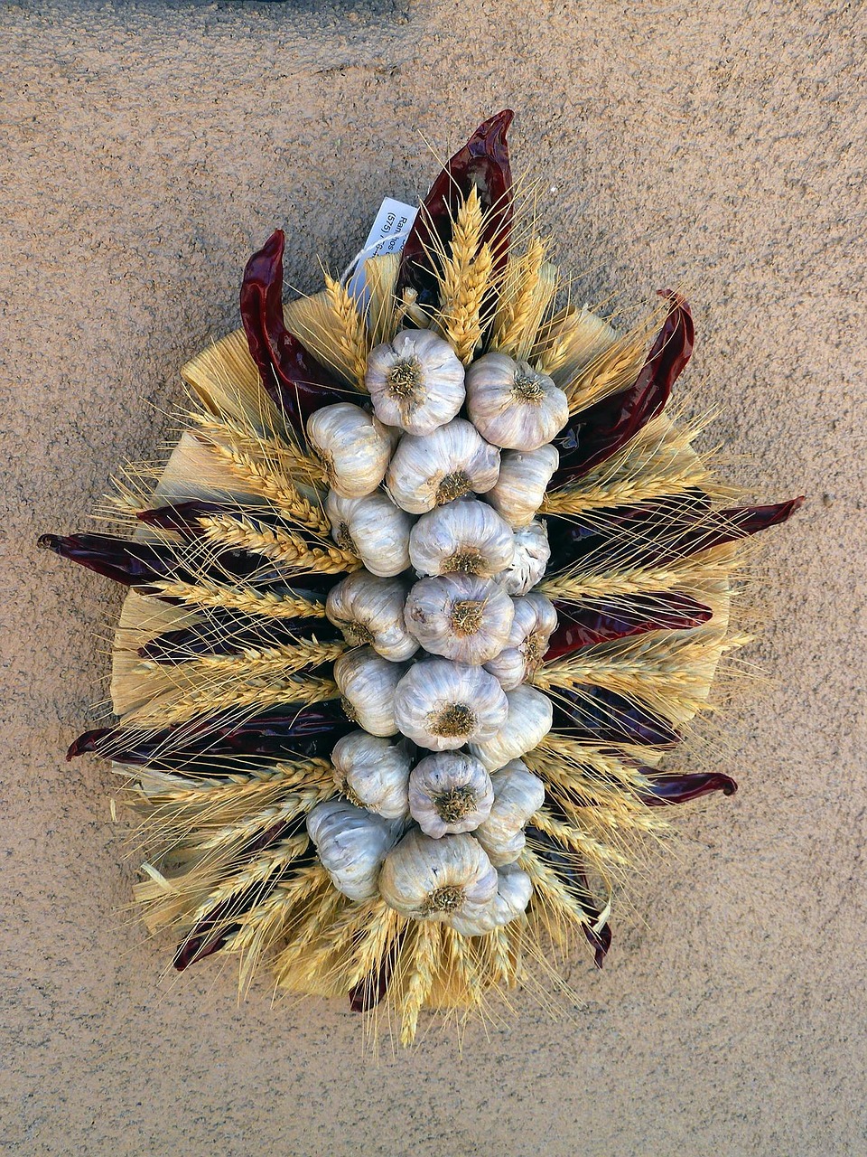 京北生態(tài)新城最新動(dòng)態(tài)，綠色發(fā)展璀璨明珠的崛起