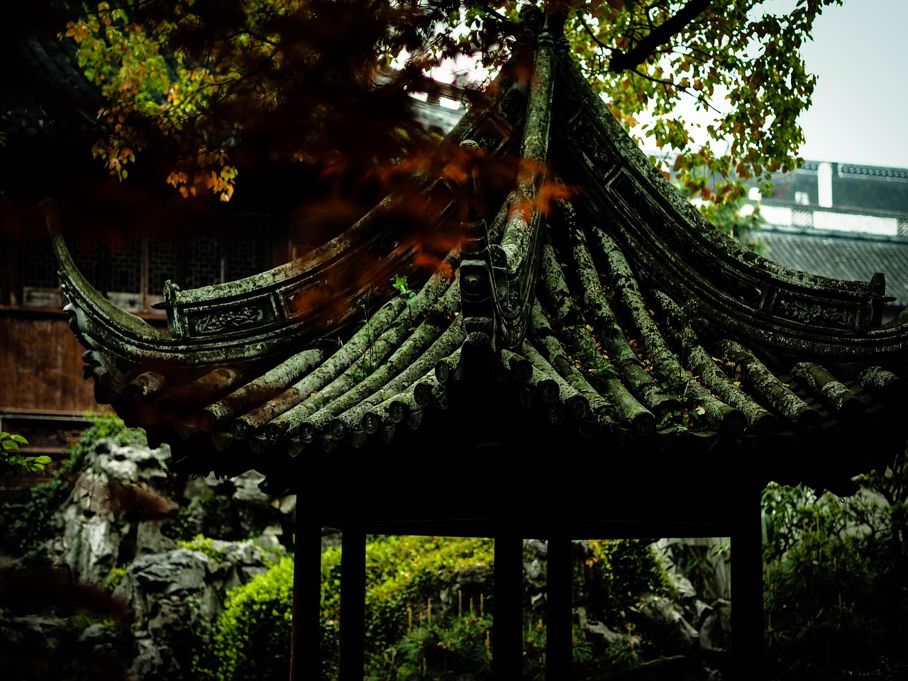 中國(guó)女排隊(duì)蓄勢(shì)待發(fā)，展現(xiàn)新篇章，最新消息與動(dòng)態(tài)速遞