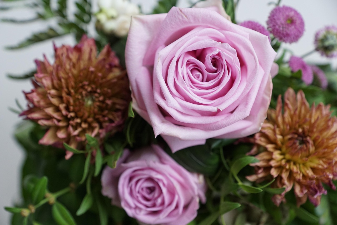 金谷美麗城最新動(dòng)態(tài)，揭開未來繁華序幕