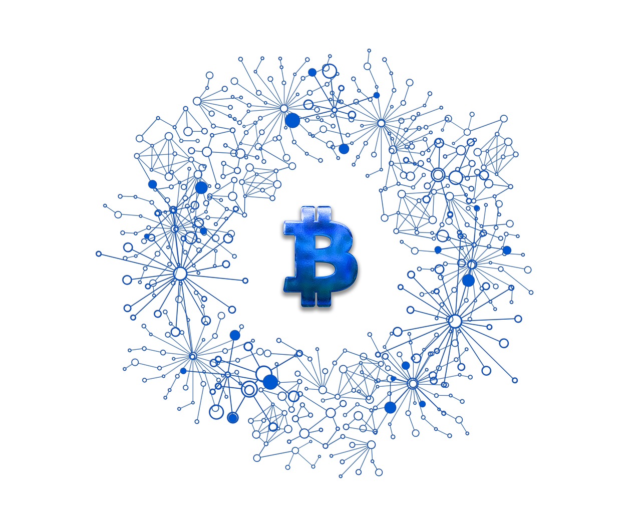 美人魚幣最新動(dòng)態(tài)，探索數(shù)字貨幣新領(lǐng)域