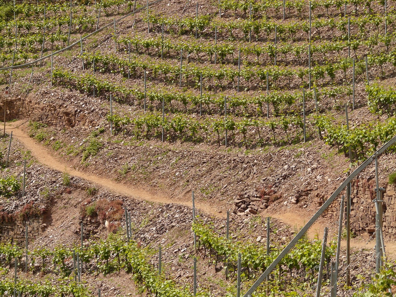 紅河谷論壇最新地址，全新探索與交流平臺的開啟