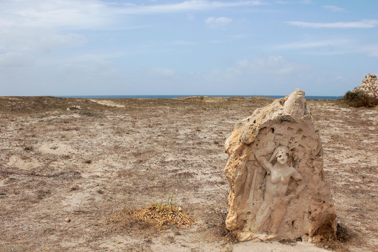 濱海旅游區(qū)新動態(tài)，世界級旅游目的地打造最新消息