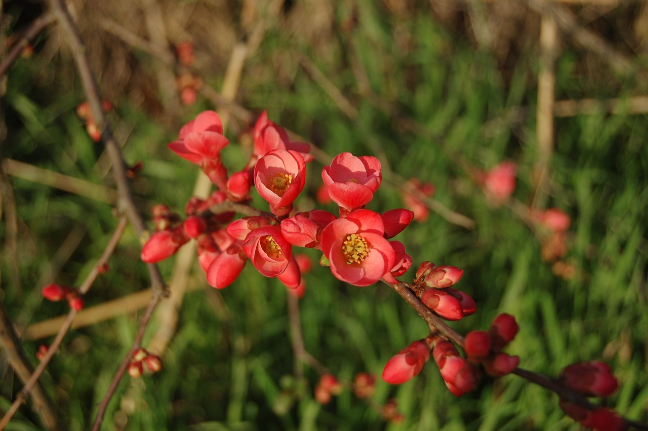 長(zhǎng)治花園歌城最新動(dòng)態(tài)報(bào)道，最新消息一覽