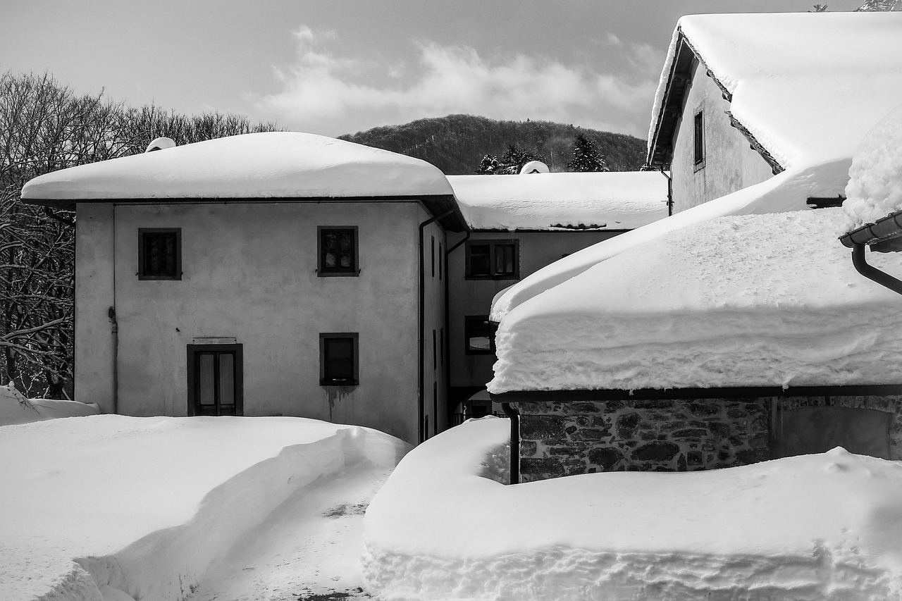 三林拆違動態(tài)更新，最新消息匯總