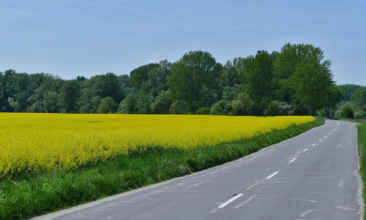 蕪黃旌德段建設(shè)進(jìn)展及未來(lái)展望，最新消息揭秘